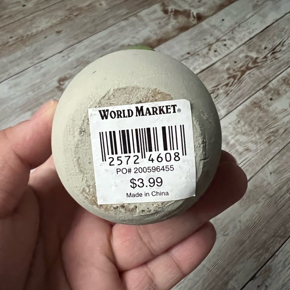 โ๐ผ๐ World Market Faux Succulent Mini Plants - Picture 13 of 14